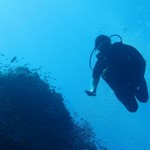dive hurgghada-diving-diver-dive-underwater-photo-coral-red sea-hurghada-egypt