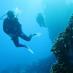 dive hurghada-diving-dive-daily-buddy-diver-safari-sea-red sea-hurghada-egypt-fun-enjoy