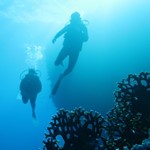 dive hurghada-diving-dive-daily-buddy-diver-safari-sea-red sea-hurghada-egypt-fun-enjoy