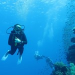 dive hurghada-diving-dive-daily-buddy-diver-safari-sea-red sea-hurghada-egypt-fun-enjoy