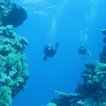 dive hurghada-diving-dive-daily-buddy-diver-safari-sea-red sea-hurghada-egypt-fun-enjoy