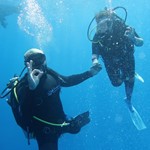 dive hurghada-diving-dive-daily-buddy-diver-safari-sea-red sea-hurghada-egypt-fun-enjoy