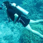 dive hurghada-diving-dive-daily-buddy-diver-safari-sea-red sea-hurghada-egypt-fun-enjoy