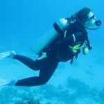 dive hurghada-diving-dive-daily-buddy-diver-safari-sea-red sea-hurghada-egypt-fun-enjoy