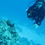 dive hurghada-diving-dive-daily-buddy-diver-safari-sea-red sea-hurghada-egypt-fun-enjoy