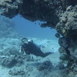 dive hurghada-diving-dive-daily-buddy-diver-safari-sea-red sea-hurghada-egypt-fun-enjoy