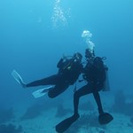 dive hurghada-diving-dive-daily-buddy-diver-safari-sea-red sea-hurghada-egypt-fun-enjoy