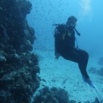 dive hurghada-diving-dive-daily-buddy-diver-safari-sea-red sea-hurghada-egypt-fun-enjoy