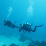 dive hurghada-diving-dive-daily-buddy-diver-safari-sea-red sea-hurghada-egypt-fun-enjoy