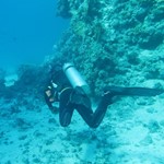 dive hurghada-diving-dive-daily-buddy-diver-safari-sea-red sea-hurghada-egypt-fun-enjoy