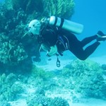 dive hurghada-diving-dive-daily-buddy-diver-safari-sea-red sea-hurghada-egypt-fun-enjoy