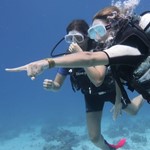 dive hurghada-diving-dive-daily-buddy-diver-safari-sea-red sea-hurghada-egypt-fun-enjoy