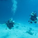 dive hurghada-diver-buddy-red sea