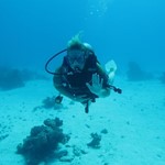 dive hurghada-buddy-diving