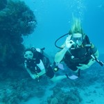 dive hurghada-diving-dive