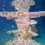 dive hurghad-dive-diving-diver-underwater-photo-wreck-abu nuhas-red sea-hurghada