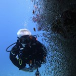 daily diving- dive in hurghada 