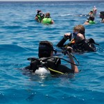 dive hurghada-diving-scuba-