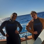 dive hurghada-diving-daily-dive-diver-boat-liveabord