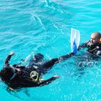 Daily Diving in Hurghada