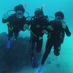 Daily Diving in Hurghada