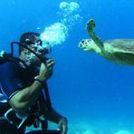 Daily Diving in Hurghada