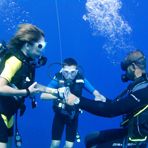 Daily Diving in Hurghada