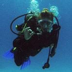 Daily Diving in Hurghada