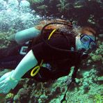 Daily Diving in Hurghada