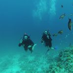 Daily Diving in Hurghada