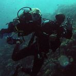 Daily Diving in Hurghada