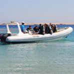 Daily Diving in Hurghada