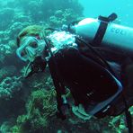 Daily Diving in Hurghada