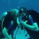 Daily Diving in Hurghada