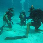 Daily Diving in Hurghada