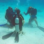 Daily Diving in Hurghada