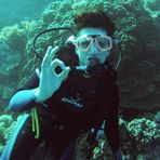 Daily Diving in Hurghada