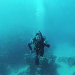 Daily Diving in Hurghada