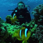 Daily Diving in Hurghada