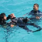 Daily Diving in Hurghada