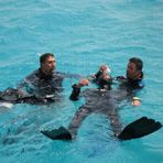 Daily Diving in Hurghada