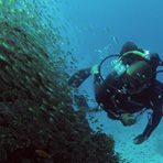 Daily Diving in Hurghada