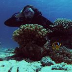 Daily Diving in Hurghada