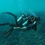 Daily Diving in Hurghada