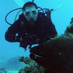 Daily Diving in Hurghada