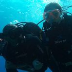 Daily Diving in Hurghada