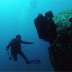 Daily Diving in Hurghada