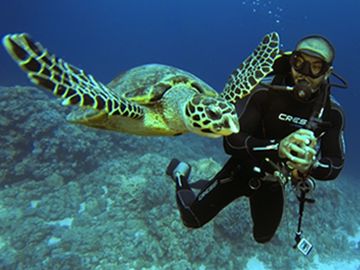 Scuba Diving in Hurghada