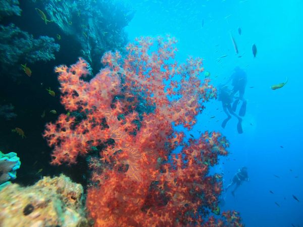 Things to do Hurghada – Egypt | Dive Hurghada Blog tips