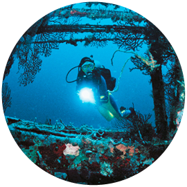 Wreck Diving